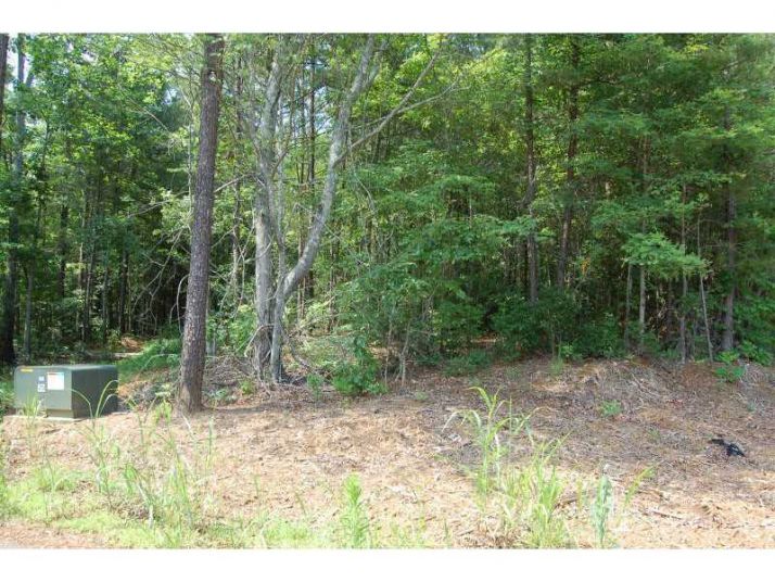 110 Mt Carmel Church Court, Canton, GA 30114