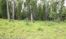 3604 N Copperspike Street Wasilla, AK 99654