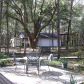 5650 NE 162nd Court, Williston, FL 32696 ID:4190628
