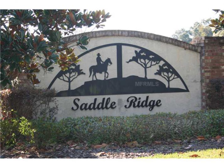 2945 SADDLE RIDGE LN, Lakeland, FL 33810