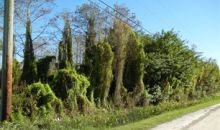 86th Way N Palm Beach Gardens, FL 33418