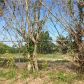 172 CT, Homestead, FL 33030 ID:5915478