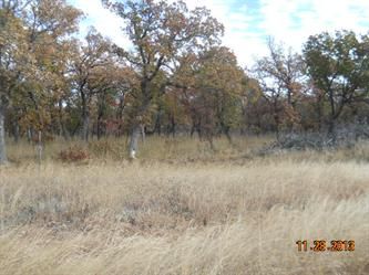 , Phase 2apn# 08581365, Gordon, TX 76453