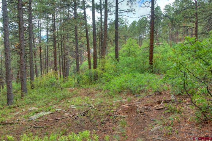 256 Blue Ridge, Bayfield, CO 81122