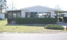 2463 Lower Red Lake Lane Grand Island, FL 32735