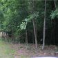 47 W Mountain Springs Way, Jasper, GA 30143 ID:3506371