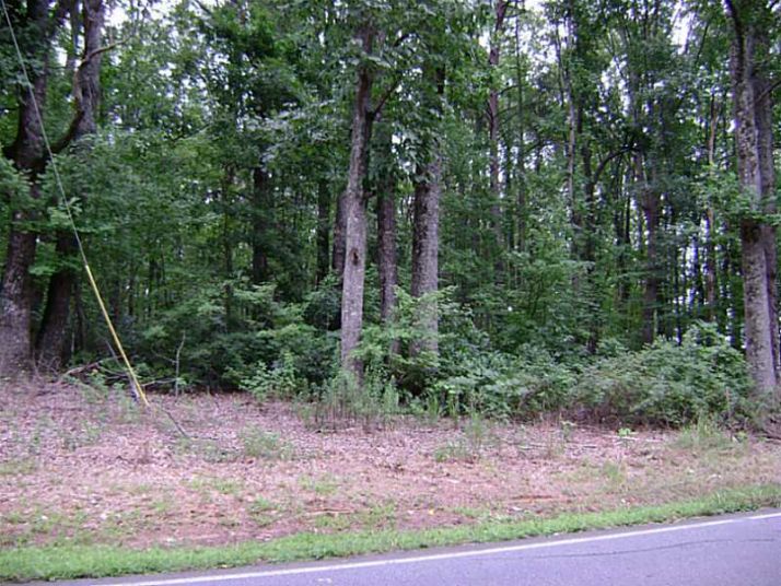 3 Lower Burris Road, Canton, GA 30114
