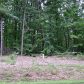 3 Lower Burris Road, Canton, GA 30114 ID:2463993