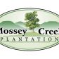 8714 Shade Tree Court, Gainesville, GA 30504 ID:5828822