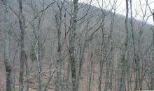 49 Laughing Fox Knoll Jasper, GA 30143