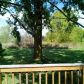 46 Fir Drive, Mason, MI 48854 ID:155649