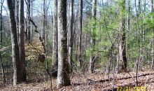 0 David Drive Tiger, GA 30576