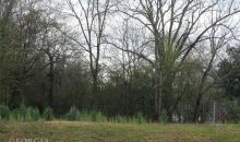 808 N Greenwood St Lagrange, GA 30240