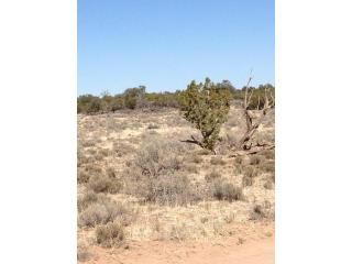 3132 S Antler Drive, Williams, AZ 86046