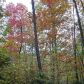 173 Monroe Ridge Road, Sautee Nacoochee, GA 30571 ID:2898915