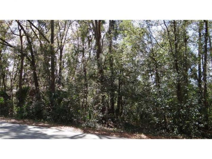 31339 Westward Ho Ave, Sorrento, FL 32776