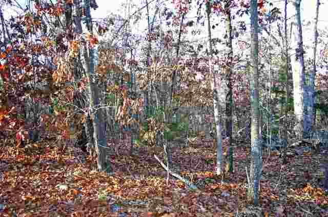 Lot 10 & 11 Blackjack Trail Trl, Mountain Home, AR 72653