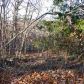 Lot 10 & 11 Blackjack Trail Trl, Mountain Home, AR 72653 ID:1165457