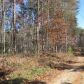 0 Laurel Point E, Dahlonega, GA 30533 ID:3366468