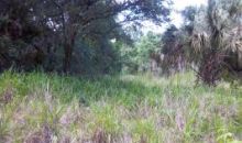 31441 Eddy Lane Deland, FL 32720