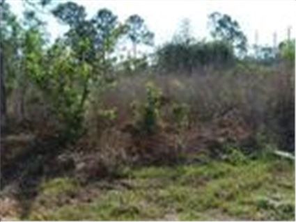 912 Roosevelt Ave, Lehigh Acres, FL 33972
