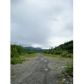 L98 Cache Creek Residential, Nikolski, AK 99638 ID:1193342