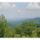 46 Frog Mountain View, Blue Ridge, GA 30513 ID:5940361