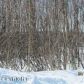 1176 W Airway Circle, Wasilla, AK 99654 ID:3025764