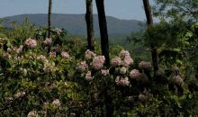 48 Utana Bluffs Trail Ellijay, GA 30540