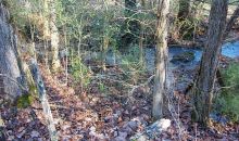 0 Ringers Road Fairmount, GA 30139