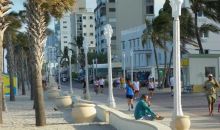 1426 MONROE ST Hollywood, FL 33020