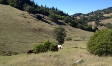 18574 Tomki Rd , CA 95470