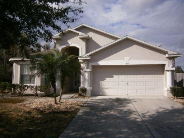 31137 Harthorn Ct, Wesley Chapel, FL 33543