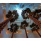 3131 NE 188 ST # 1-507, Miami, FL 33180 ID:350025