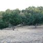 30891 Pinedale Dr, Tehachapi, CA 93561 ID:1675011