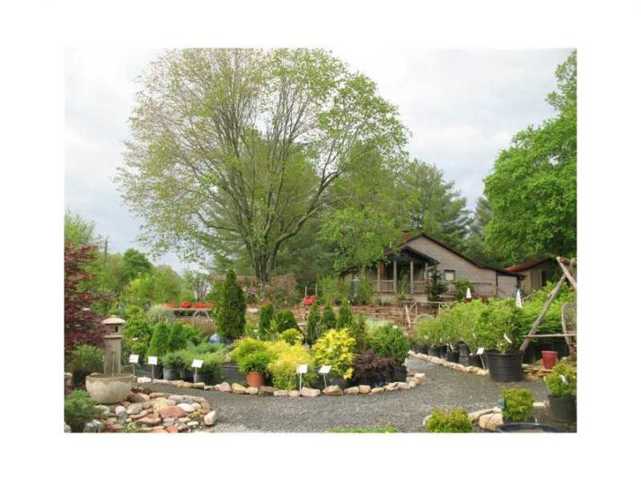 768 Cherry Log Street, Cherrylog, GA 30522