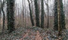 0 Rogers Drive Douglasville, GA 30134