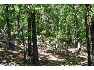 17 Lipscomb Lane, Conway, AR 72032