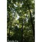 17 Lipscomb Lane, Conway, AR 72032 ID:1510973