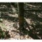 17 Lipscomb Lane, Conway, AR 72032 ID:1510975