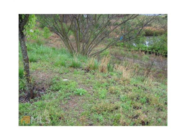 3860 Misty Lake, Ellenwood, GA 30294