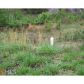 3860 Misty Lake, Ellenwood, GA 30294 ID:3365189