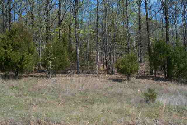 50 Roden Mill Road, Conway, AR 72032