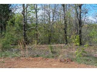 38 Fawn, Conway, AR 72032