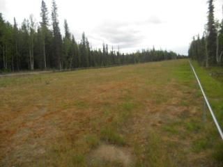 Lot 2 Timber Trail, North Pole, AK 99705