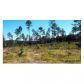 LOT 10 HICKORY RIDGE, Leesville, LA 71446 ID:3095771