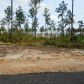 Lot 41 Saddlewood Estates Phase III, Leesville, LA 71446 ID:3095687