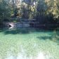 17361 NW 83rd Ct, Trenton, FL 32693 ID:4190855