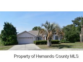 14207 Carlisle Dr, Spring Hill, FL 34609