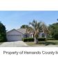 14207 Carlisle Dr, Spring Hill, FL 34609 ID:306429